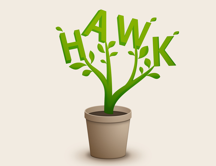 HAWK fliegt Logo-Entwurf - Blumentopf
